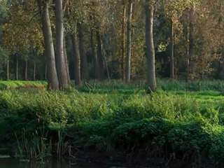 Witness - Witness - Lover Boys