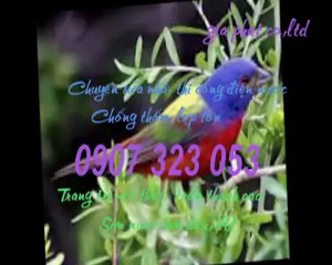 Sửa nhà,chống thấm tại quận 3 call 0936 890 585