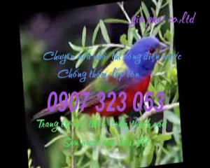 Sửa nhà,chống thấm tại quận 3 call 0936 890 585