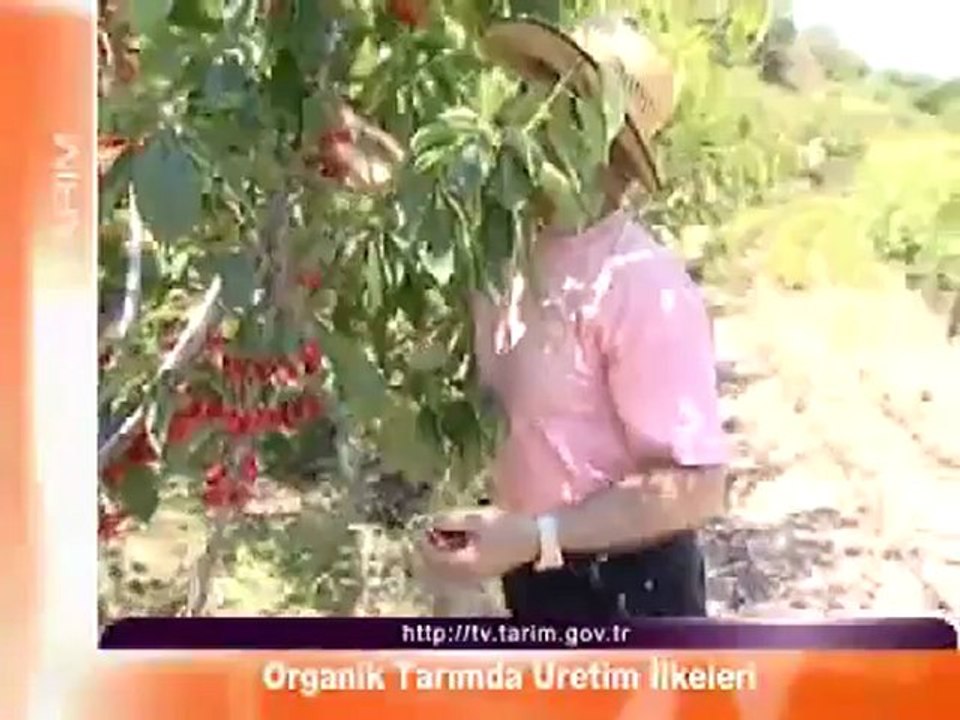 Organik Tarımda Üretim İlkeleri