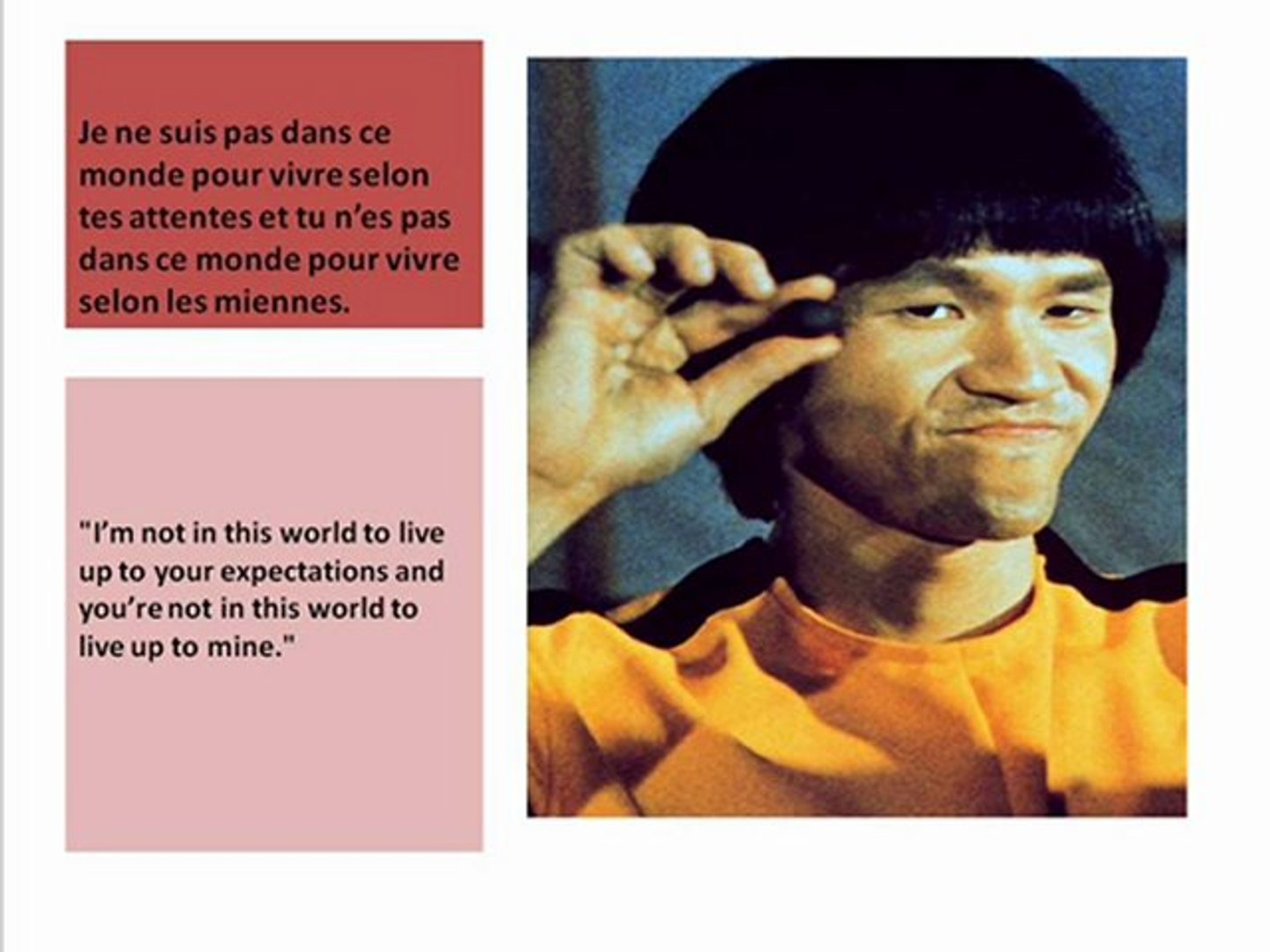 Exclu Bruce Lee L Art De Mourir Citations Inedites Video Dailymotion