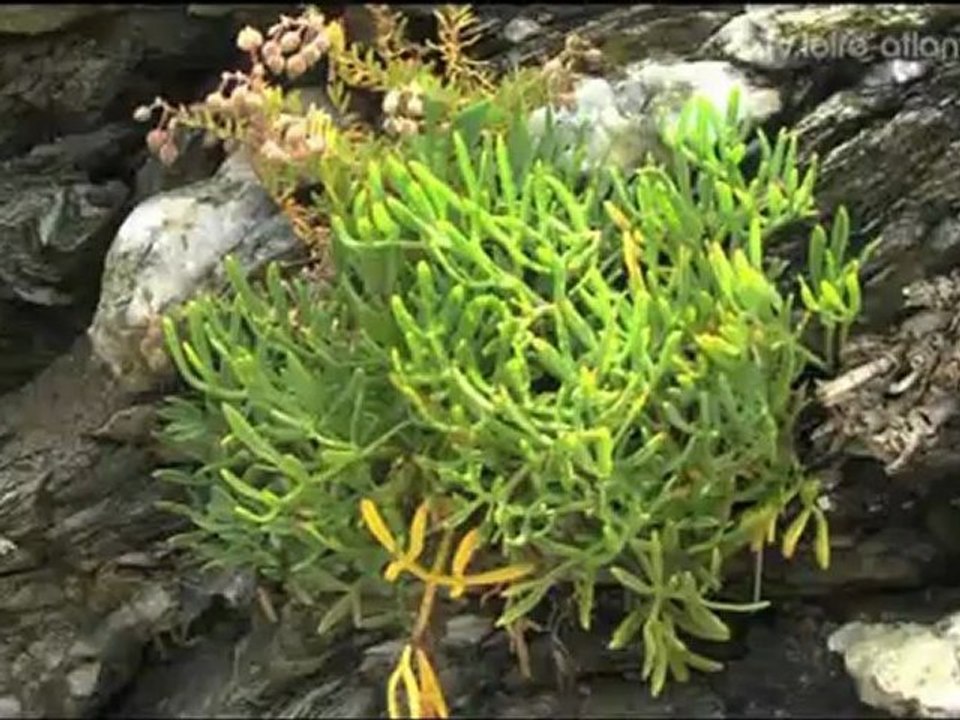 Balades nature en Loire-Atlantique