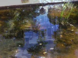 Jardin du Museum d'Histoire Naturelle deToulon, musique grecque antique