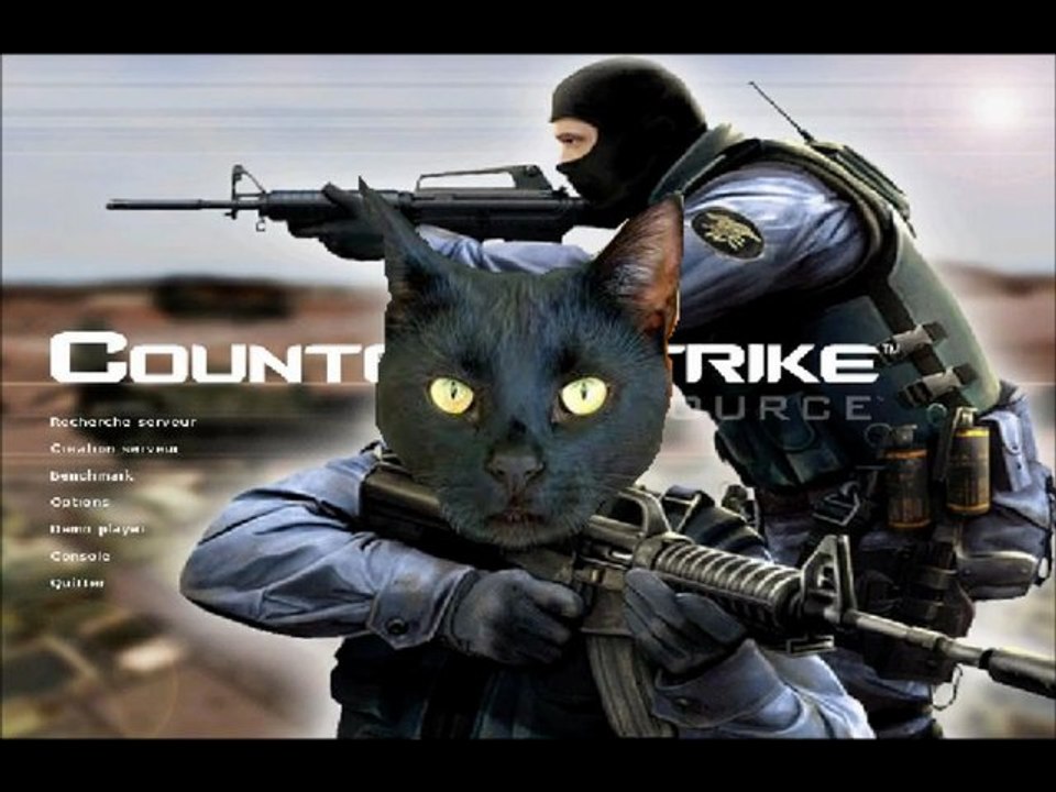 Jouer avec un Chat sur CSS