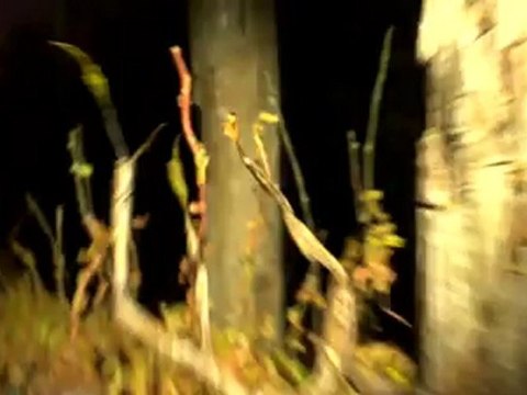 L'étrange pouvoir de Norman - Extrait #2 (VOST)