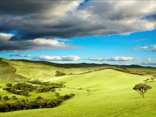 Baby Sleep Music- Help your  Baby sleep