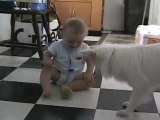 Köpek Bebeğe Oyun Oynamayı Öğretiyor