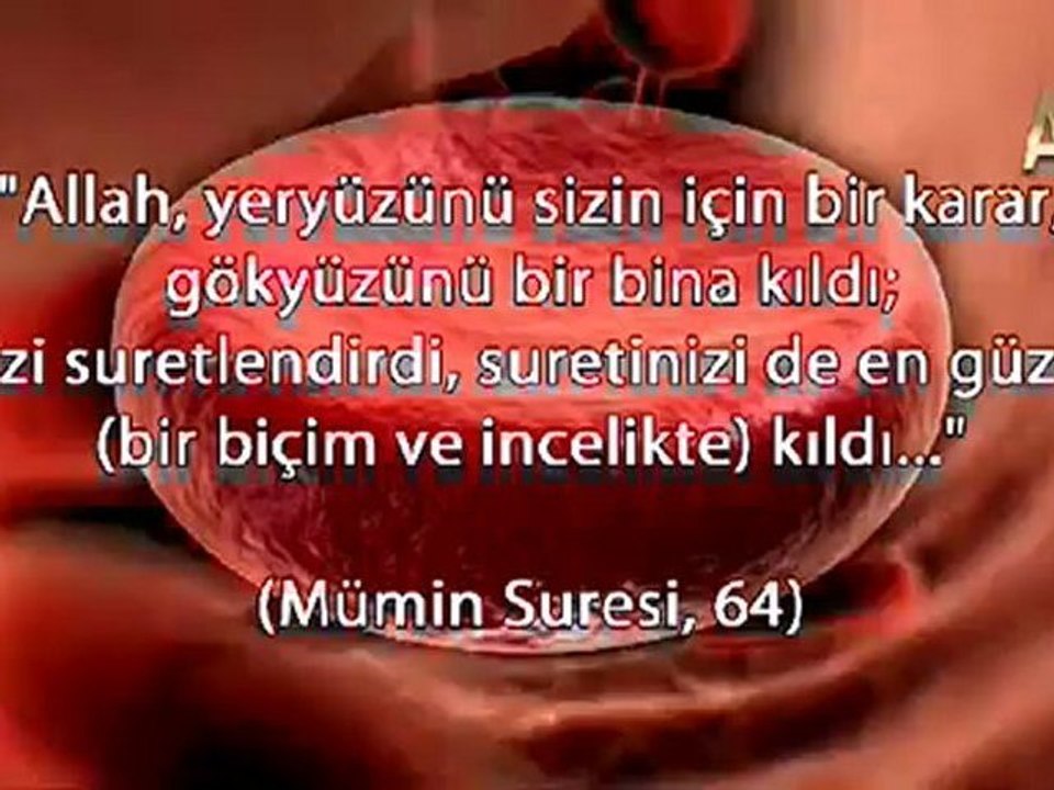 Vucudumuzu zehirlenmekten koruyan özel sistem