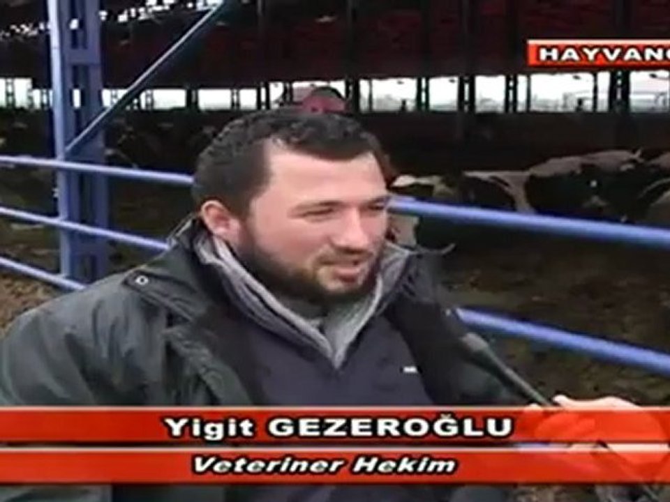 Modern Besicilik