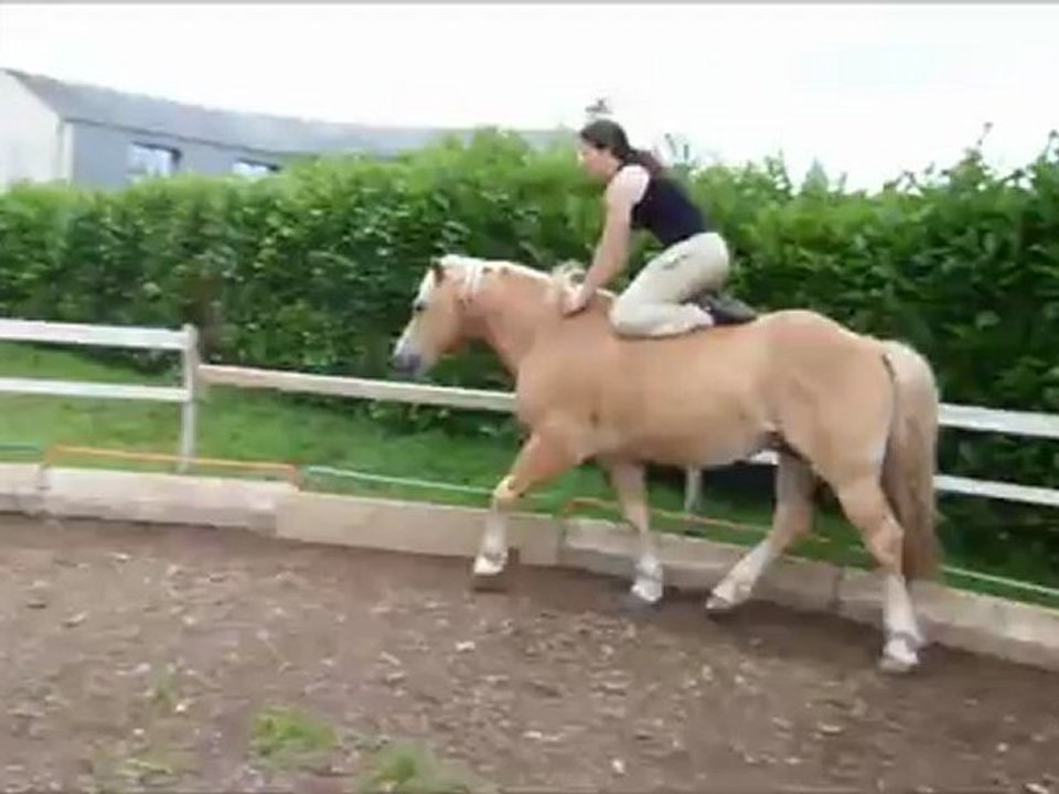 voltige