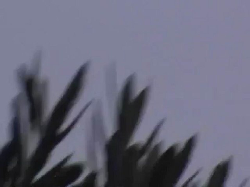 Syria فري برس  حماه المحتلة   تحليق الطيران المروحي في سماء سهل الغاب 21-8-2012