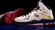 LeBron X Sneakers Most Expensive in Nike History