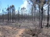El incendio de Castrocontrigo (León) sigue activo y arrasa 10.000 hectáreas