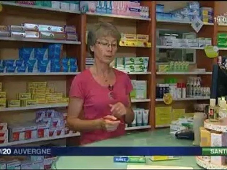 L'ambroisie arrive en Auvergne