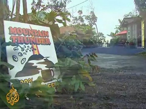 Hawaiian coffee growers favour free trade deal