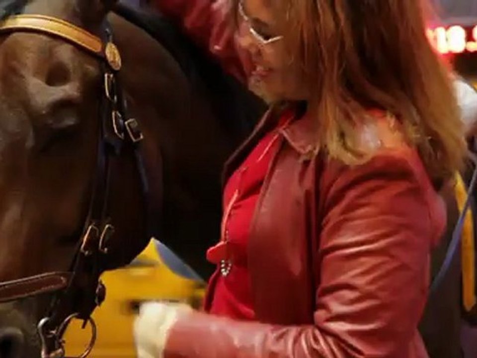 1 An à New York par Andrew Clancy