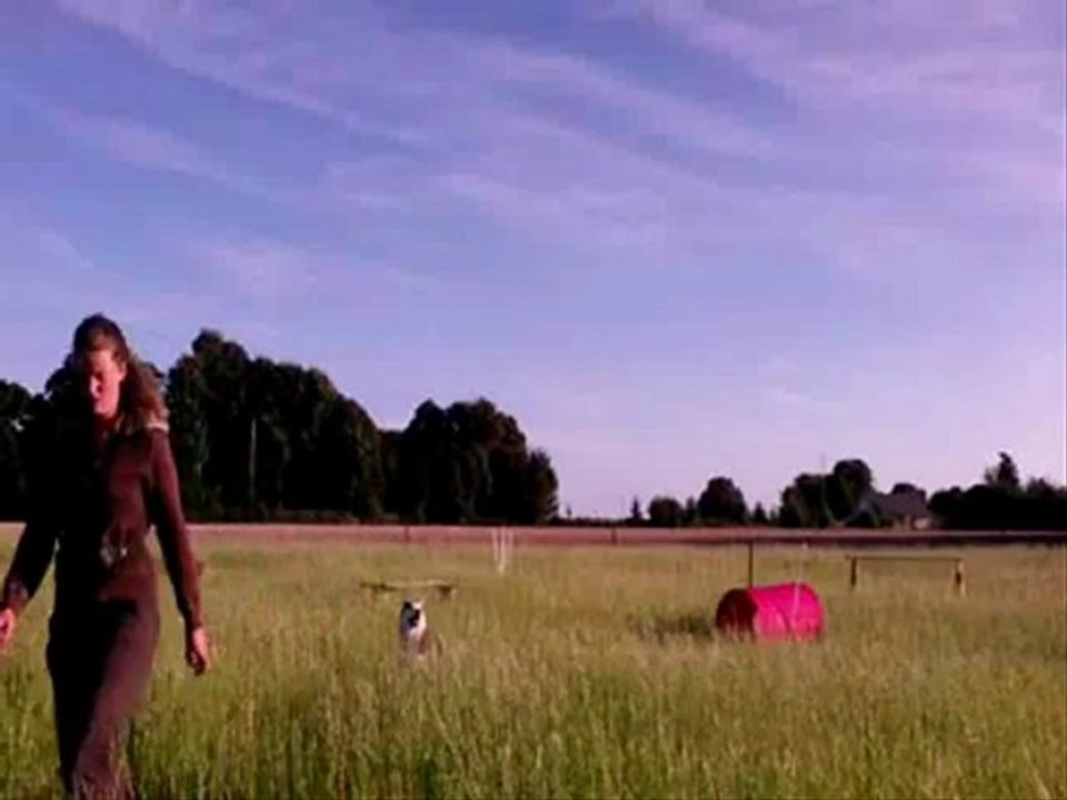 Tosca agility 22.08.12