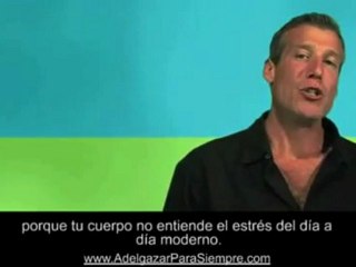 dieta para bajar de peso con el Metodo Gabriel .Insulina, azúcar y diabetes 2