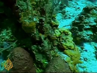 Mexico's underwater caves face pollution risk