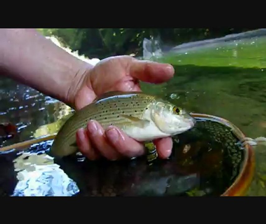 Août 2012 sur le Chéran