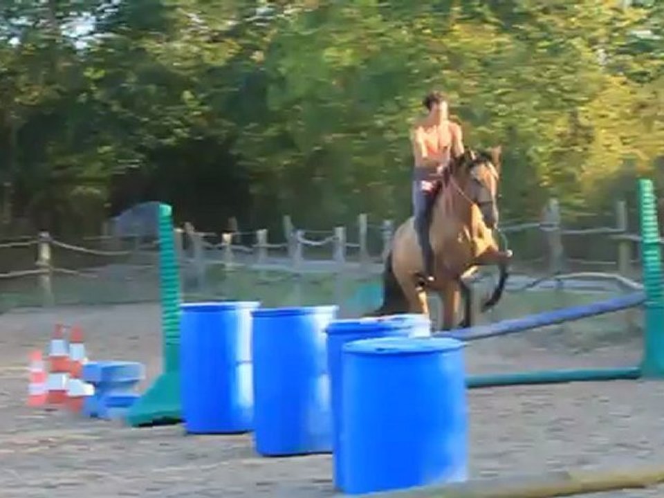 MVI_9413 Sha Nameh mise au saut