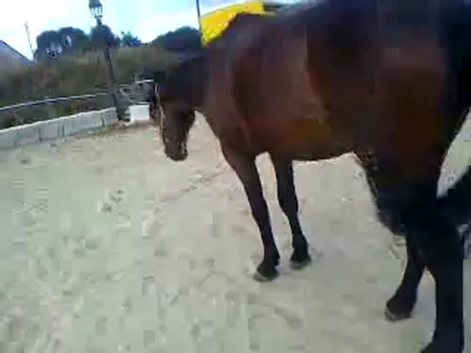reculer distance1