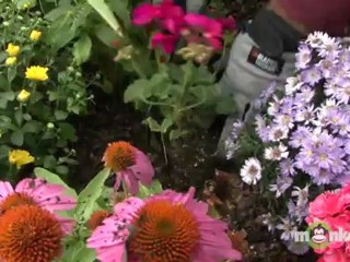 Make Garden Sustainability A Goal