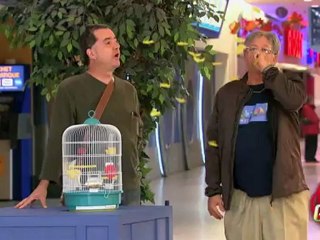 Gros monsieur mange le canari