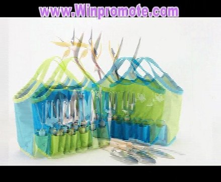 Customized Printed Promotioanl Bags with Your Logo on Winpromote.com