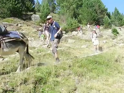 Rando familiale avec des ânes dans le Néouvielle Aygues Cluses