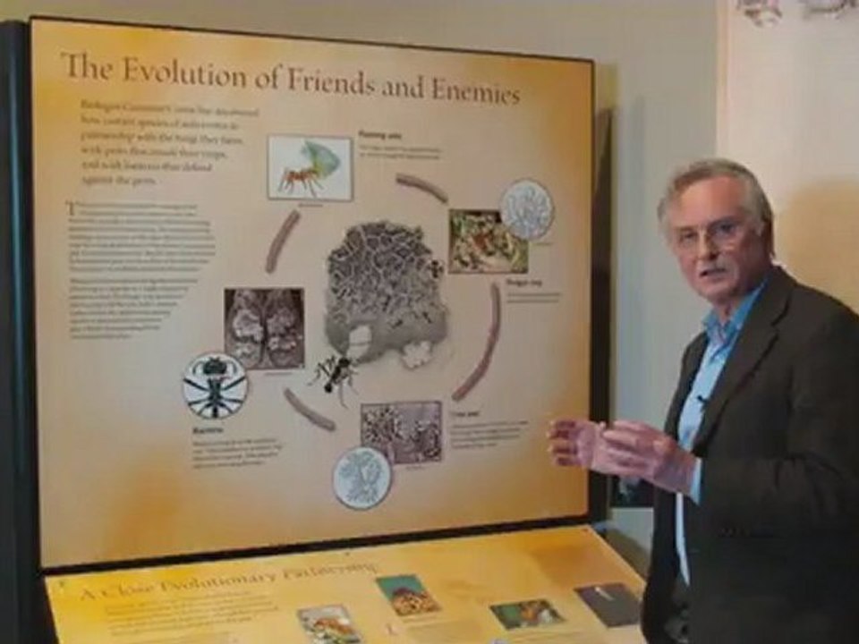 Ants that farm, compost and weed  by Richard Dawkins