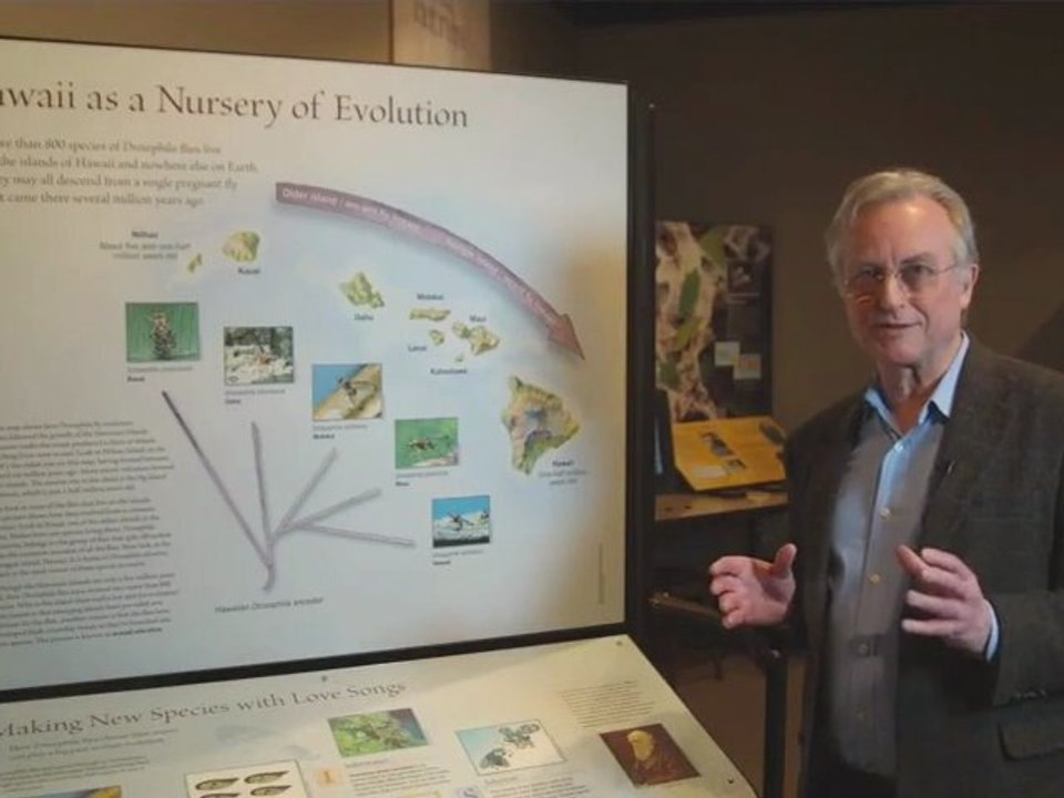 Hawaii as a Nursery of Evolution by Richard Dawkins