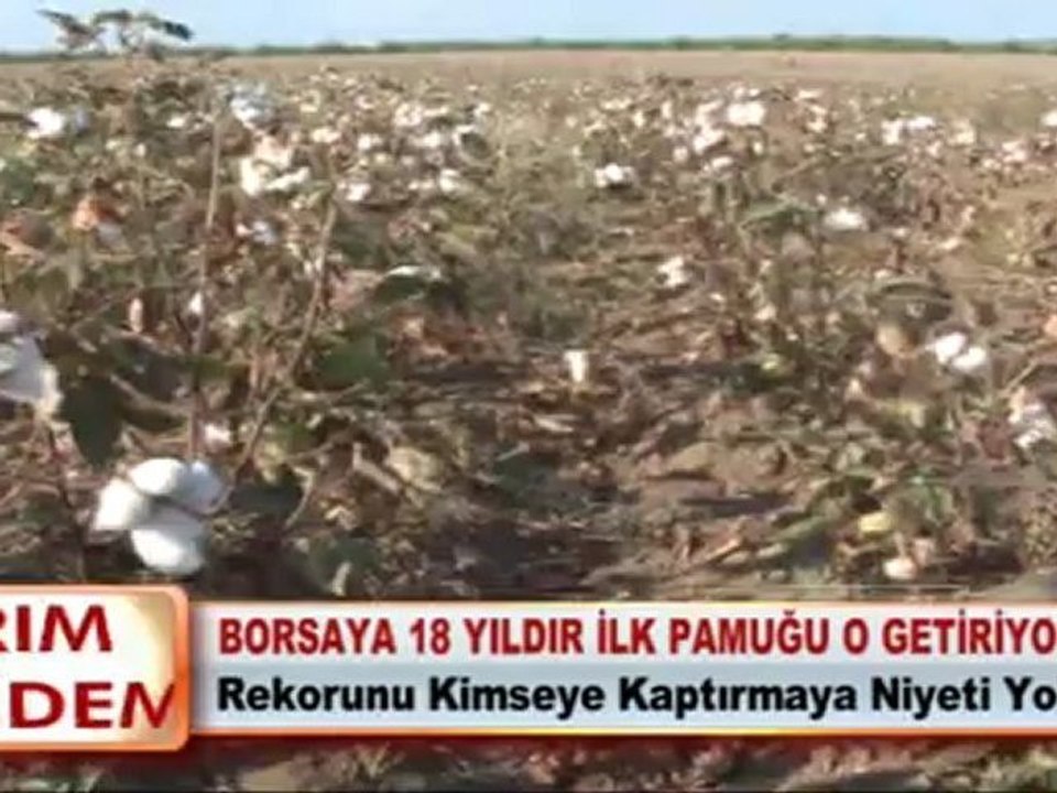 BORSAYA 18 YILDIR İLK PAMUĞU O GETİRİYOR