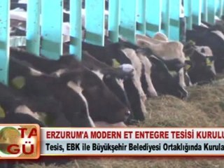 ERZURUM’A MODERN ET ENTEGRE TESİSİ KURULUYOR