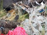 Tourists and pilots killed in Maasai Mara plane crash