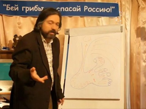 Если ваш друг гриб!