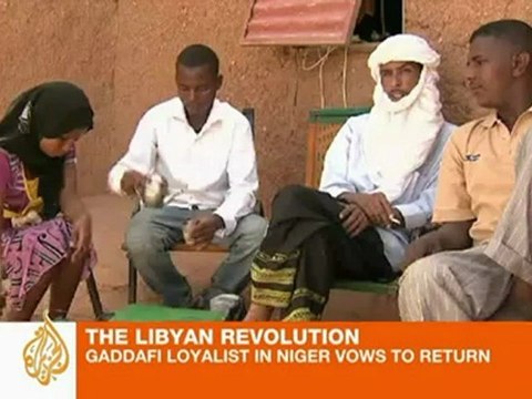 Niger Gaddafi loyalists vow support