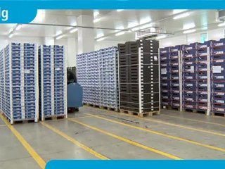 Sửa xe lau san Lh : 0908882903 TườngNguyen