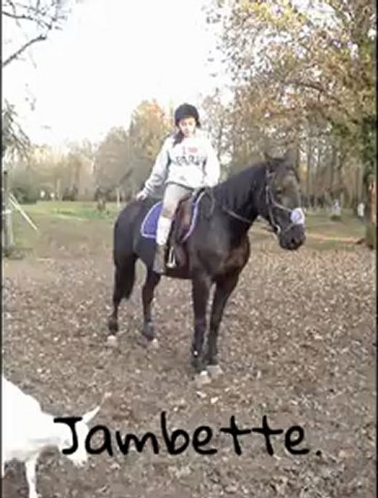 jambette.