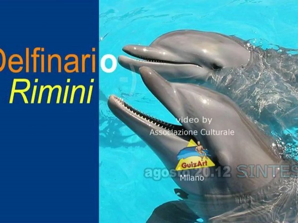 DELFINARIO **** Rimini 2012