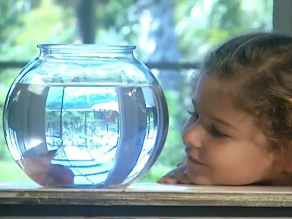 Imagefilm der telefilm Filmproduktion Nürnberg