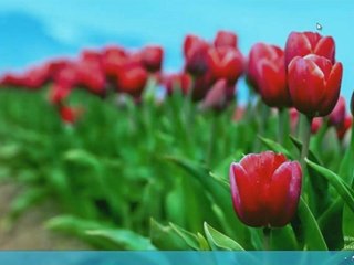 Windows 8: Ensuring Your System is Up-to-Date with Windows Update