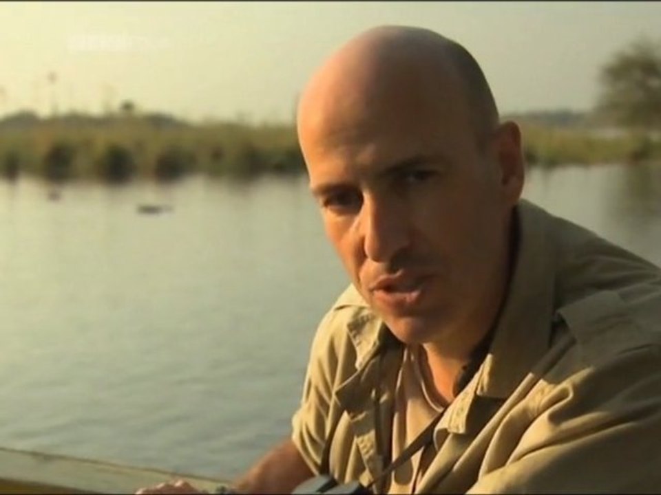 What Darwin Didn't Know 3 -Tree of Life