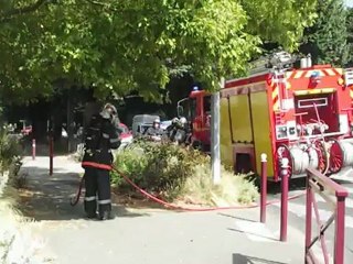 Le parterre de fleurs prend feu