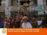 Libyan revolution: Tripoli resident tells of safety fears