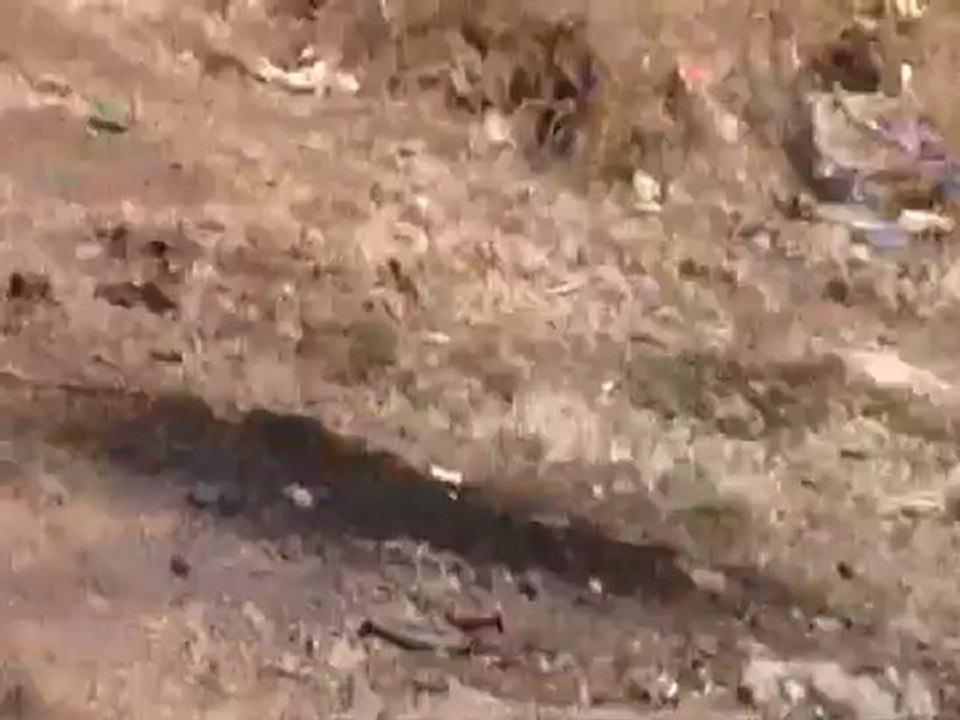 Syria فري برس  حماه المحتلة تحليق الطيران المروحي وقصفه قرية الحوّاش 23-8-2012