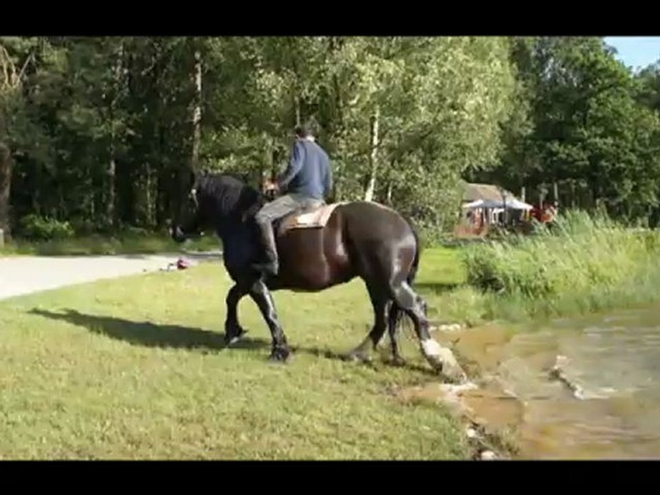 Quidam joering 2012