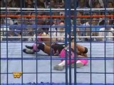 Bret Hart vs Owen Hart (WWF SummerSlam 1994)