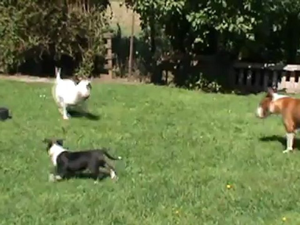 visite des Teignes 23.08.12