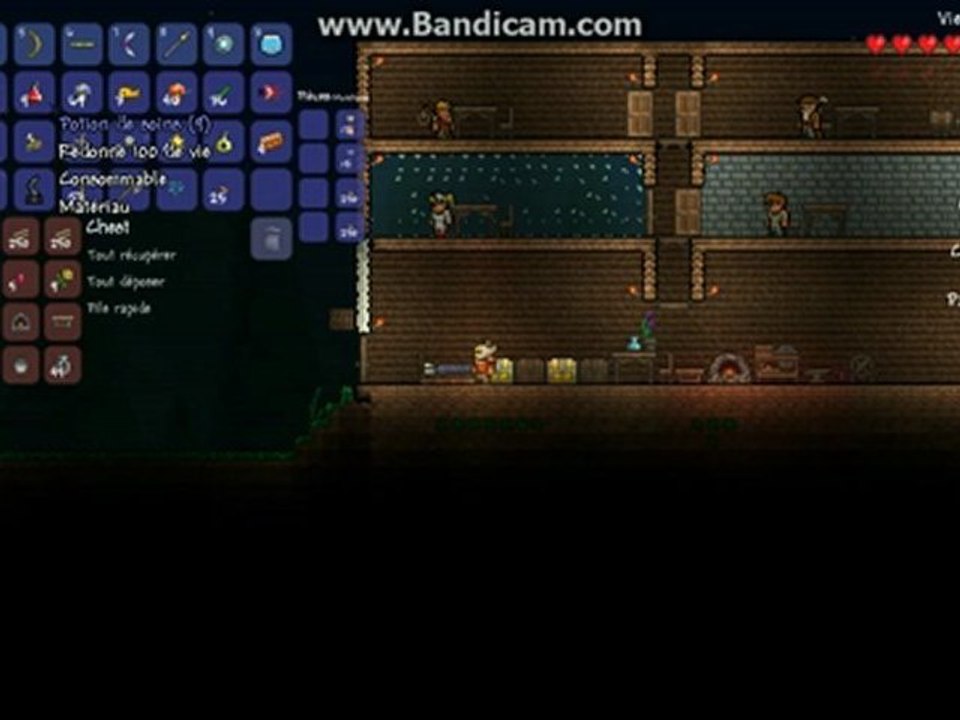 Test terraria